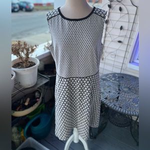 Ann Taylor LOFT Sleeveless Knit Dress 14 Cotton Blend Black White Workwear VGUC